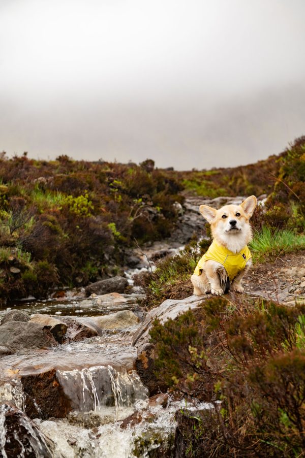 Cheddar in Schotland bij de Fairy pools